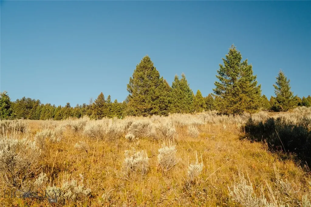Lot 3 Upper Whitefish Drive Big Sky MT 59716