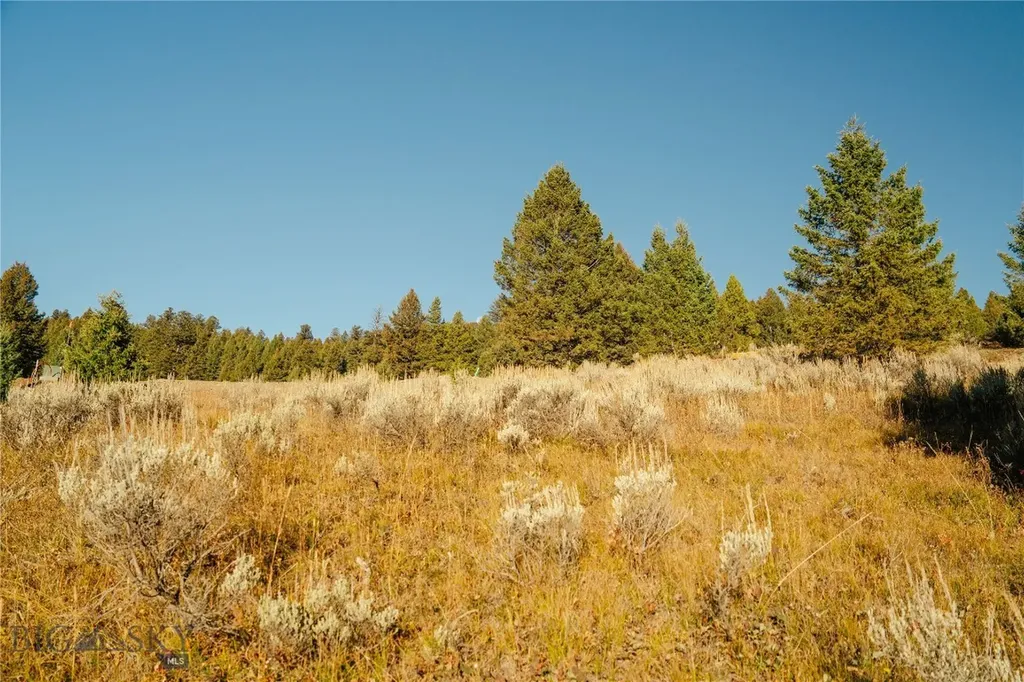 Lot 3 Upper Whitefish Drive Big Sky MT 59716