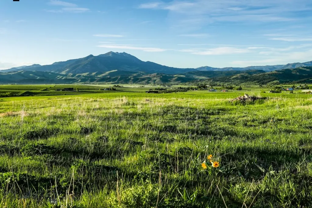 1903 Mount Ellis Lane Bozeman MT 59715