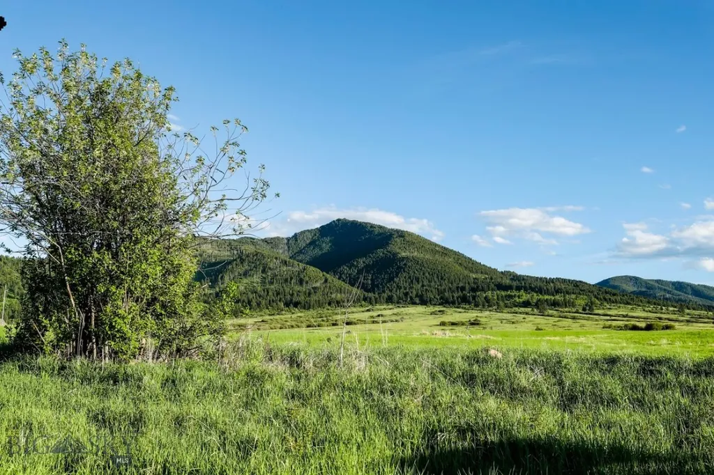 1903 Mount Ellis Lane Bozeman MT 59715