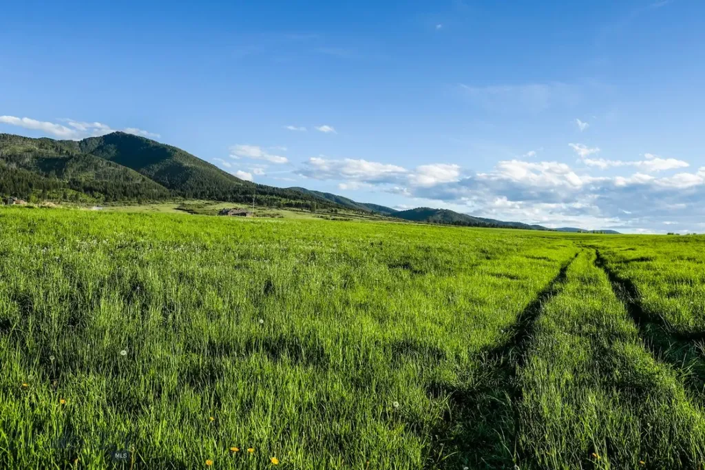 1903 Mount Ellis Lane Bozeman MT 59715