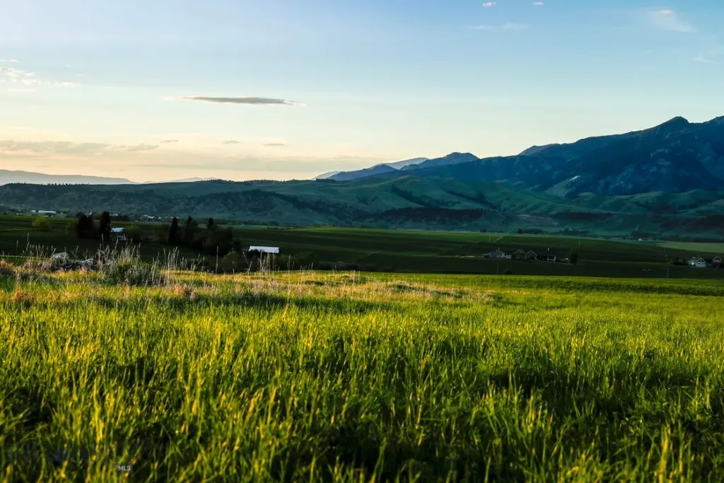 1903 Mount Ellis Lane Bozeman MT 59715