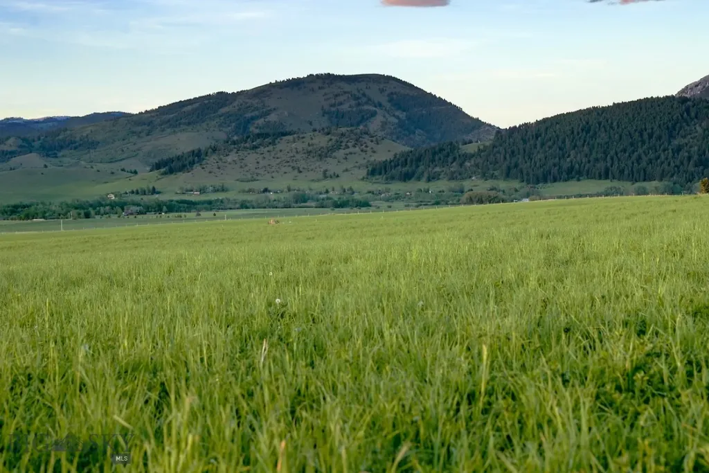 1903 Mount Ellis Lane Bozeman MT 59715