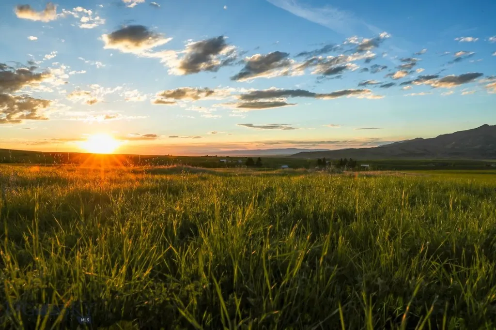 1903 Mount Ellis Lane Bozeman MT 59715