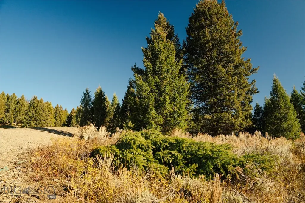 Lot 5 Upper Whitefish Drive Big Sky MT 59716