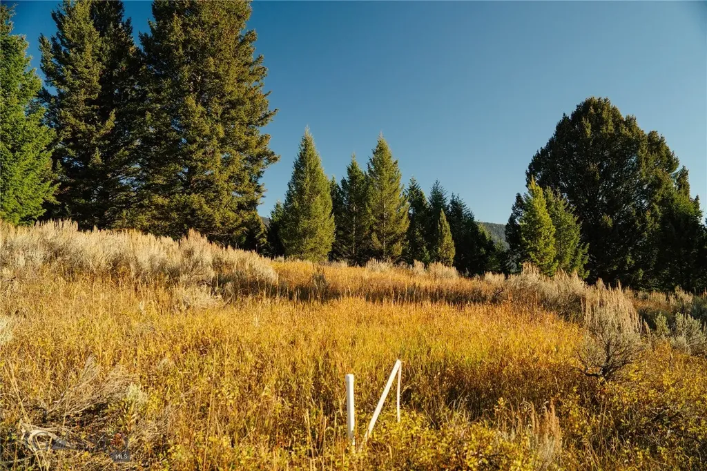 Lot 5 Upper Whitefish Drive Big Sky MT 59716