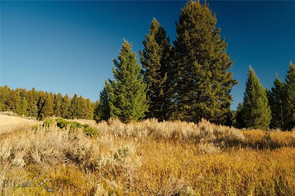 Lot 5 Upper Whitefish Drive Big Sky MT 59716