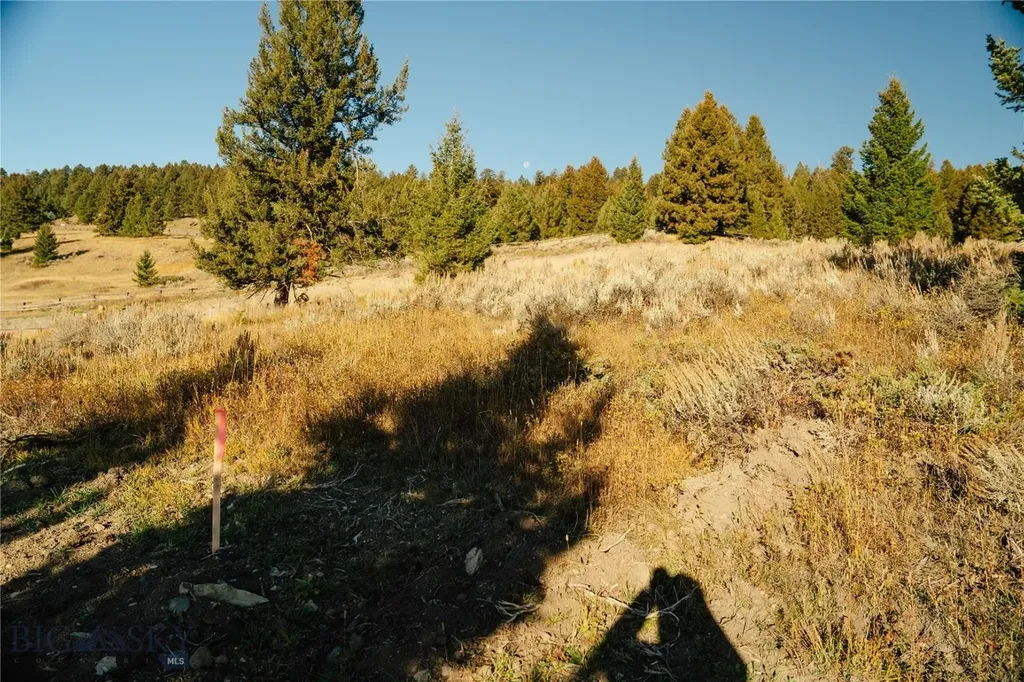 Lot 5 Upper Whitefish Drive Big Sky MT 59716