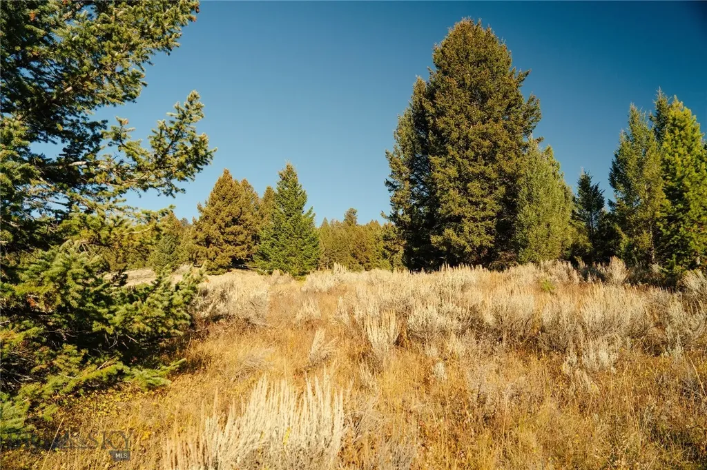 Lot 5 Upper Whitefish Drive Big Sky MT 59716
