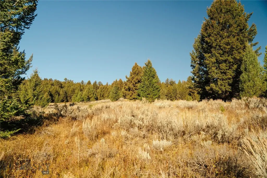 Lot 5 Upper Whitefish Drive Big Sky MT 59716