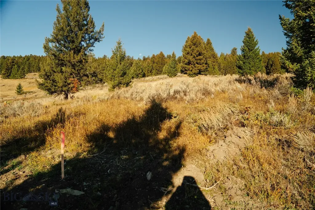 Lot 5 Upper Whitefish Drive Big Sky MT 59716