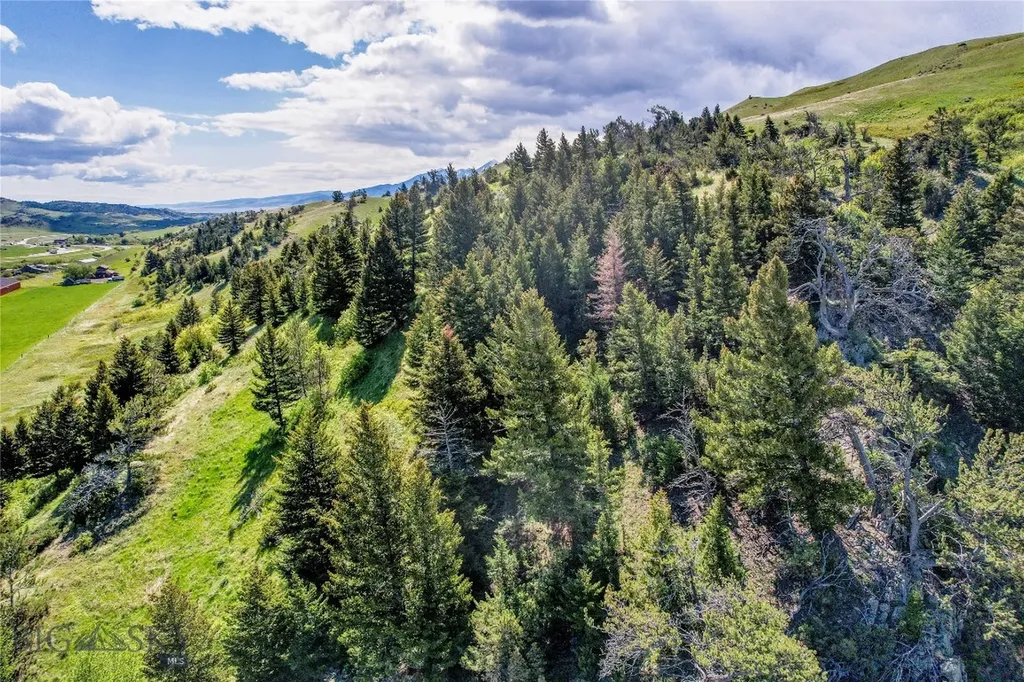 Tbd Us Highway 10 W Livingston MT 59047