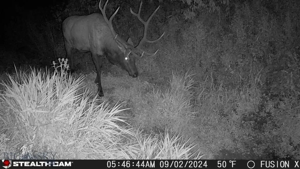 Tbd Us Highway 10 W Livingston MT 59047