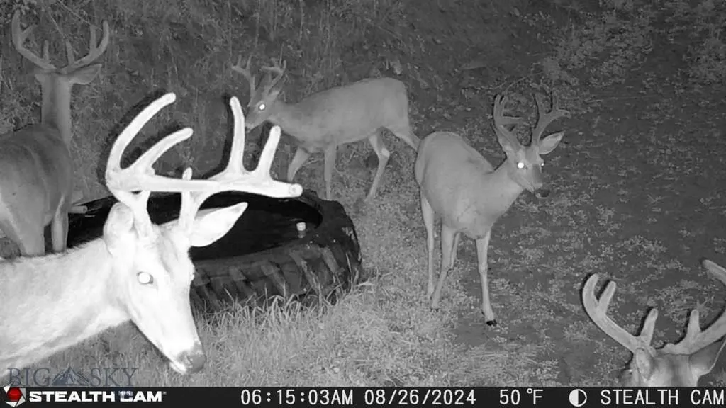 Tbd Us Highway 10 W Livingston MT 59047