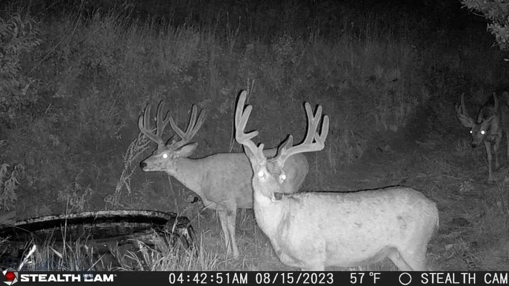 Tbd Us Highway 10 W Livingston MT 59047