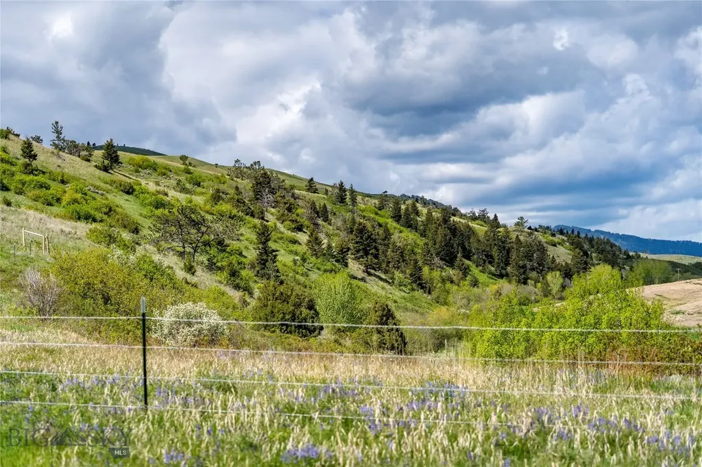 Tbd Us Highway 10 W Livingston MT 59047