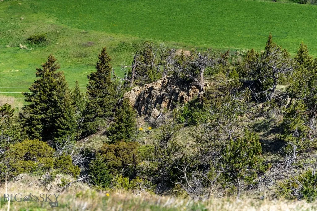 Tbd Us Highway 10 W Livingston MT 59047
