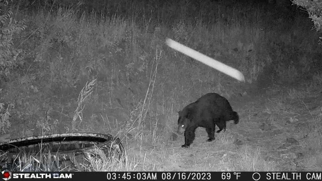 Tbd Us Highway 10 W Livingston MT 59047