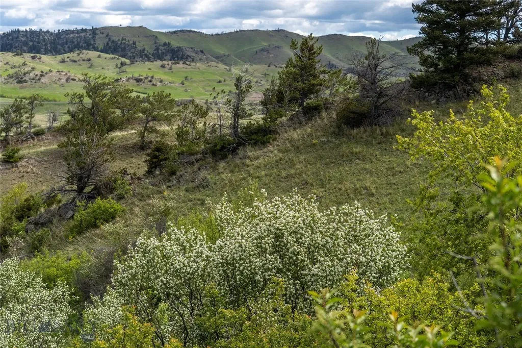 Tbd Us Highway 10 W Livingston MT 59047