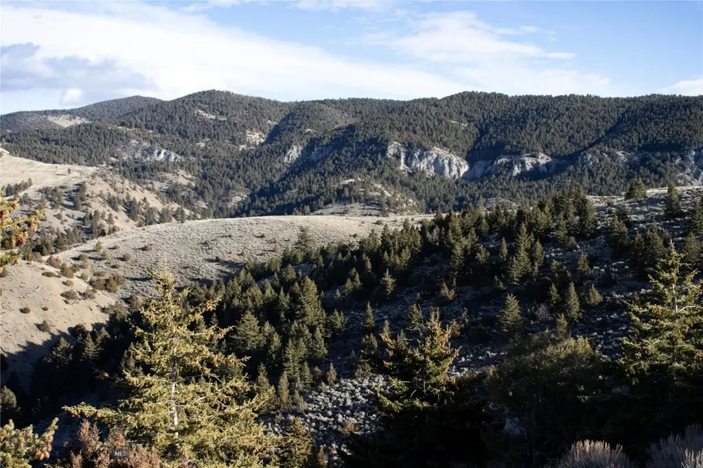 Lot 330 Lone Wolf Trail Clarkston MT 59752