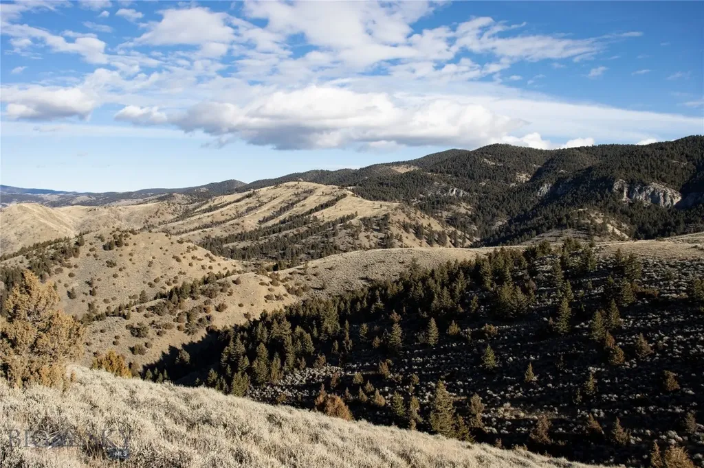 Lot 330 Lone Wolf Trail Clarkston MT 59752