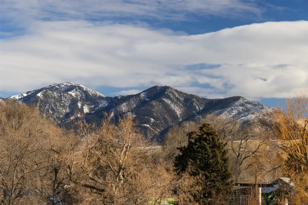 201 & 201 1/2 N Black Avenue Bozeman MT 59715