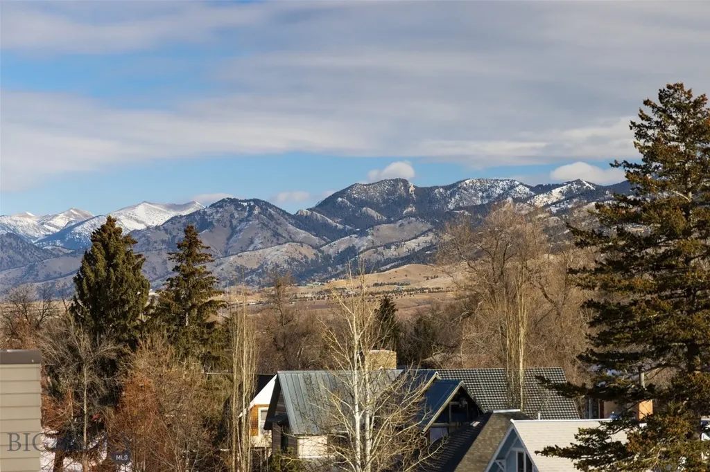 201 & 201 1/2 N Black Avenue Bozeman MT 59715