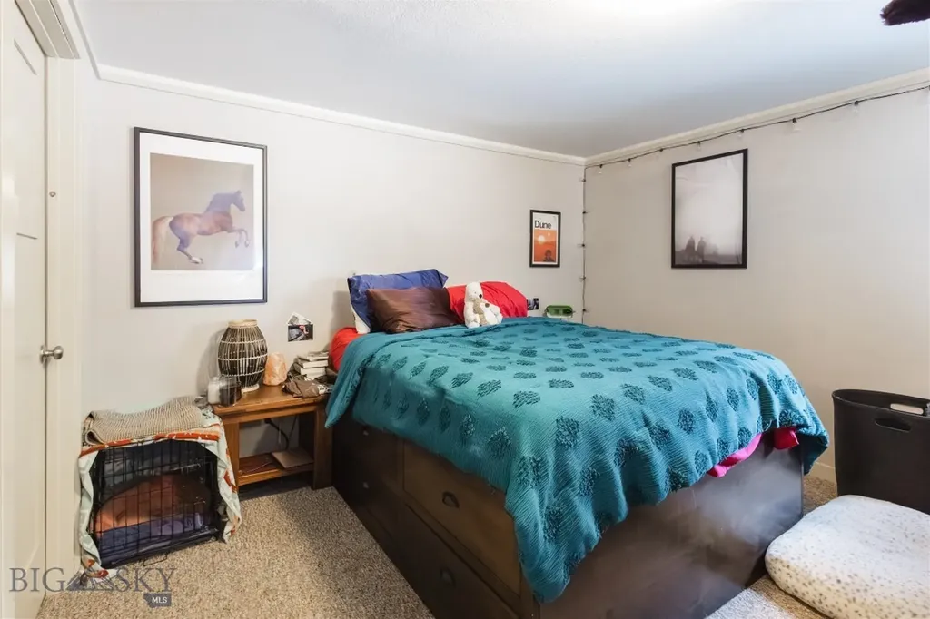 1232 N 8th Avenue Bozeman MT 59715