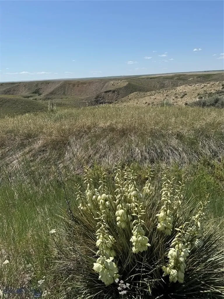 Highwood MT 59450