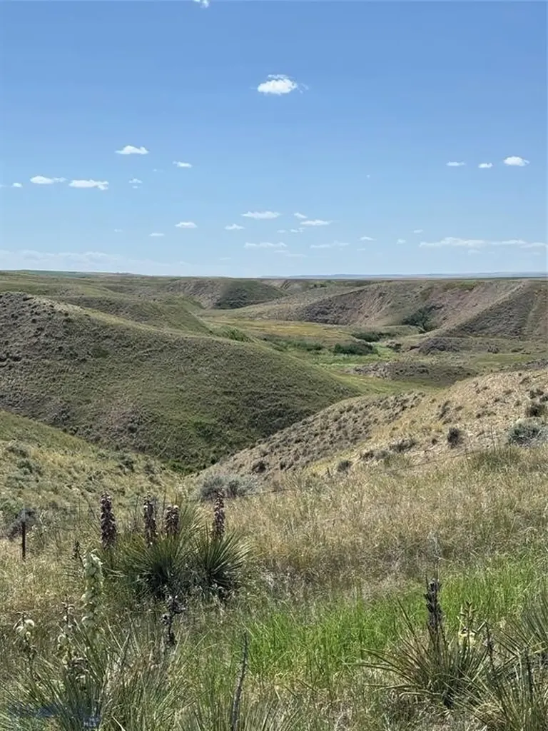 Highwood MT 59450