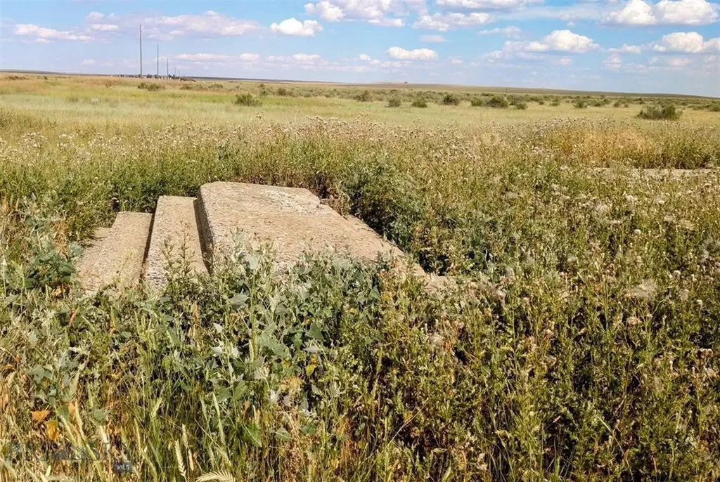 Molt MT 59057