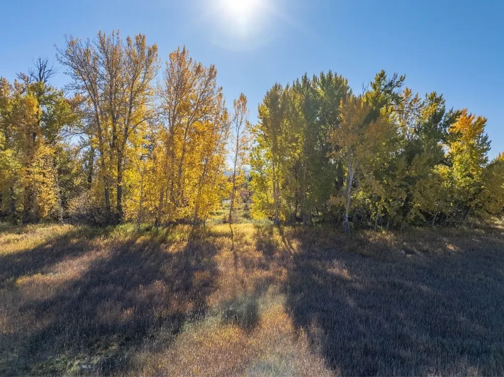 3 Mallard Lane Bozeman MT 59718