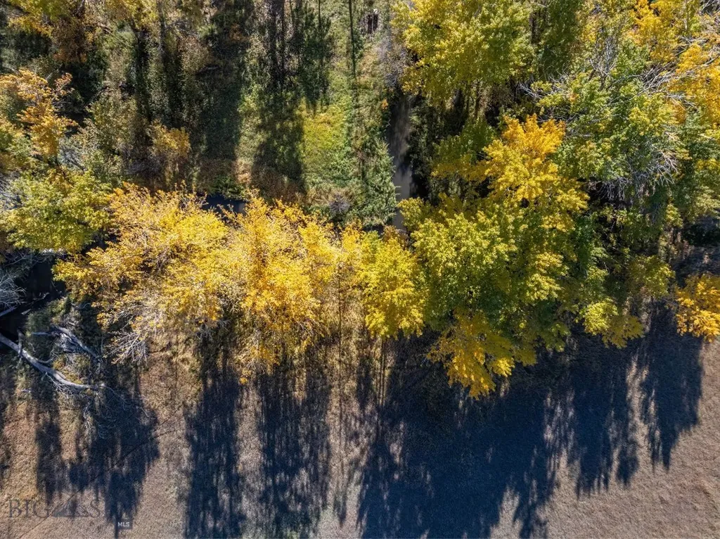 3 Mallard Lane Bozeman MT 59718