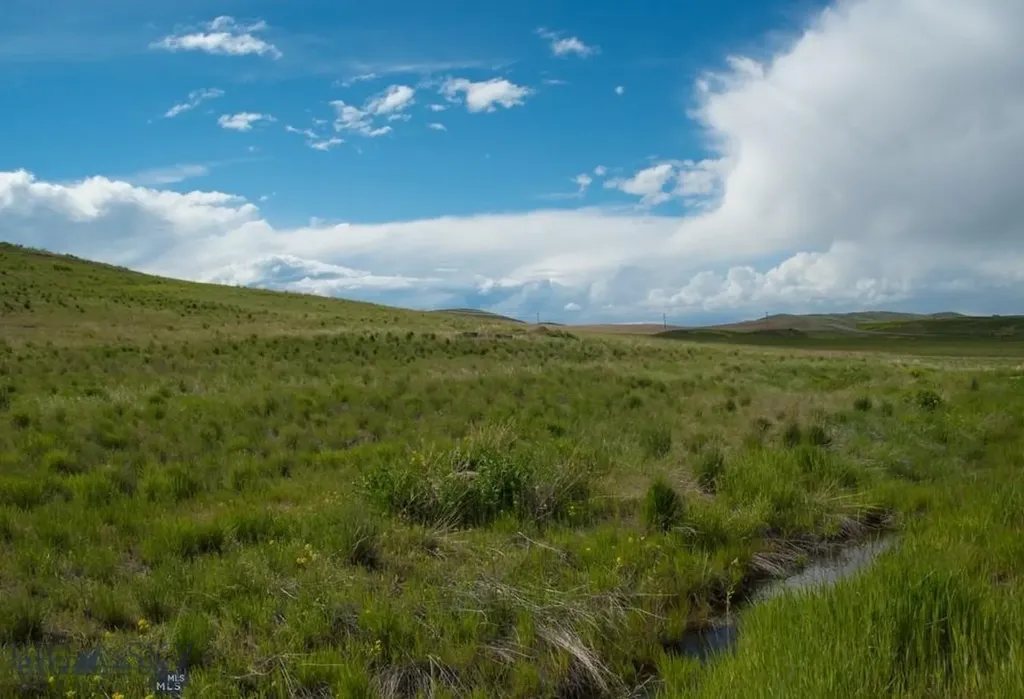 Lot 1 Wheatland Meadows Drive Three Forks MT 59752