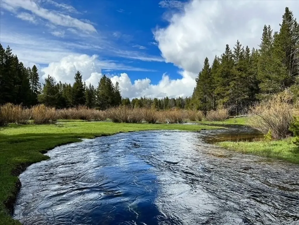 11203 Skinners Meadows Road Jackson MT 59736
