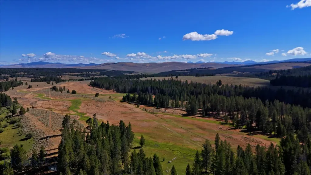11203 Skinners Meadows Road Jackson MT 59736