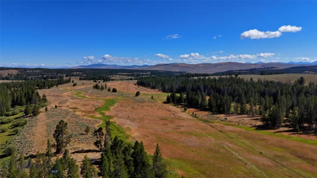 11203 Skinners Meadows Road Jackson MT 59736