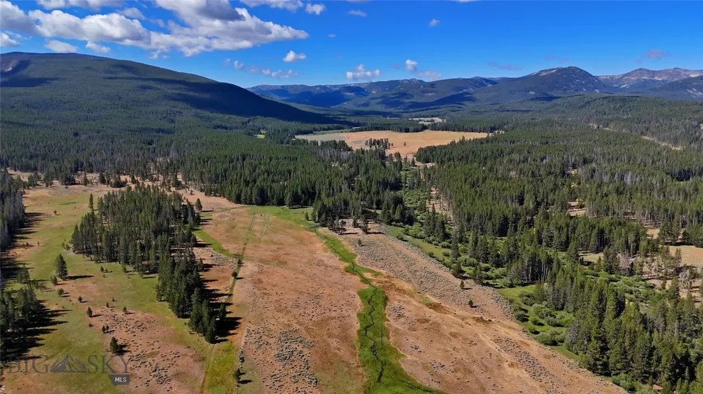 11203 Skinners Meadows Road Jackson MT 59736