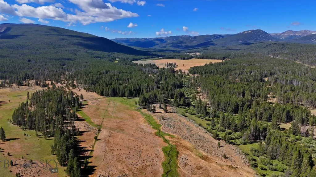 11203 Skinners Meadows Road Jackson MT 59736