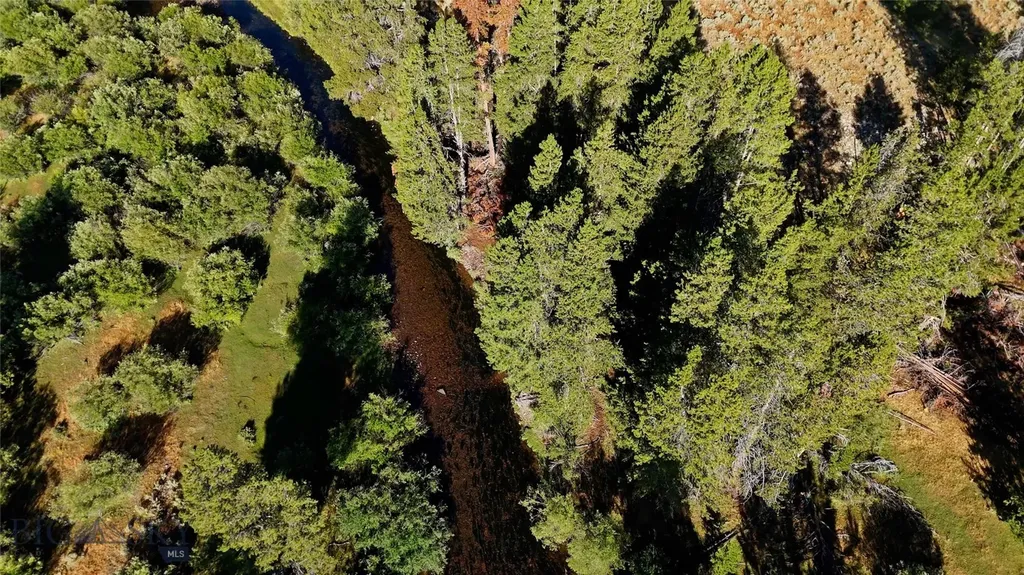 11203 Skinners Meadows Road Jackson MT 59736