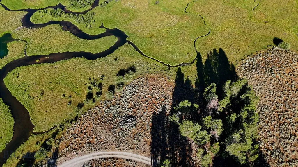 11203 Skinners Meadows Road Jackson MT 59736