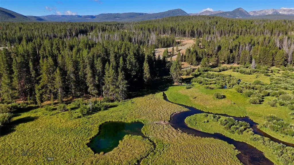 11203 Skinners Meadows Road Jackson MT 59736