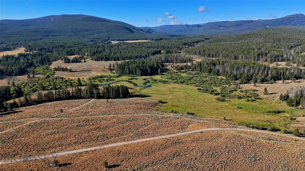 11203 Skinners Meadows Road Jackson MT 59736