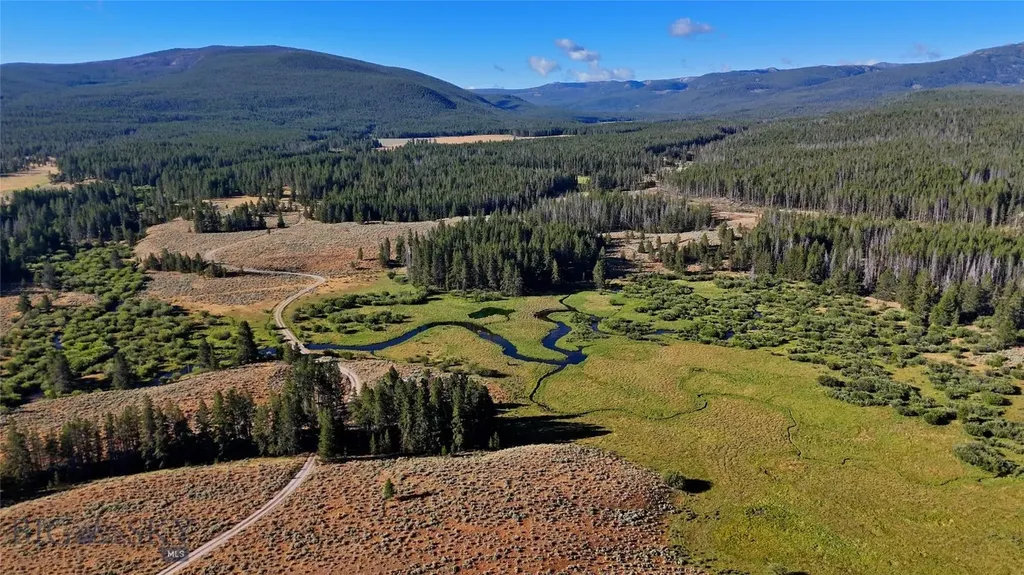 11203 Skinners Meadows Road Jackson MT 59736