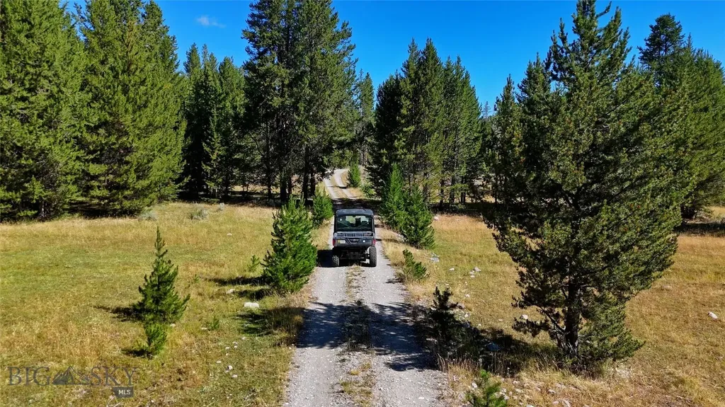 11203 Skinners Meadows Road Jackson MT 59736