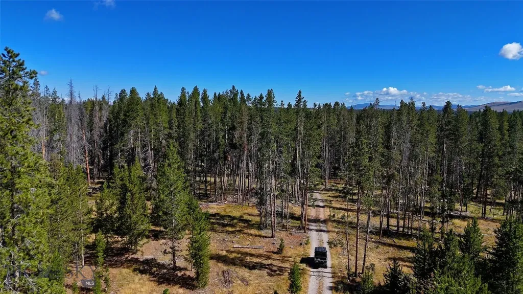 11203 Skinners Meadows Road Jackson MT 59736