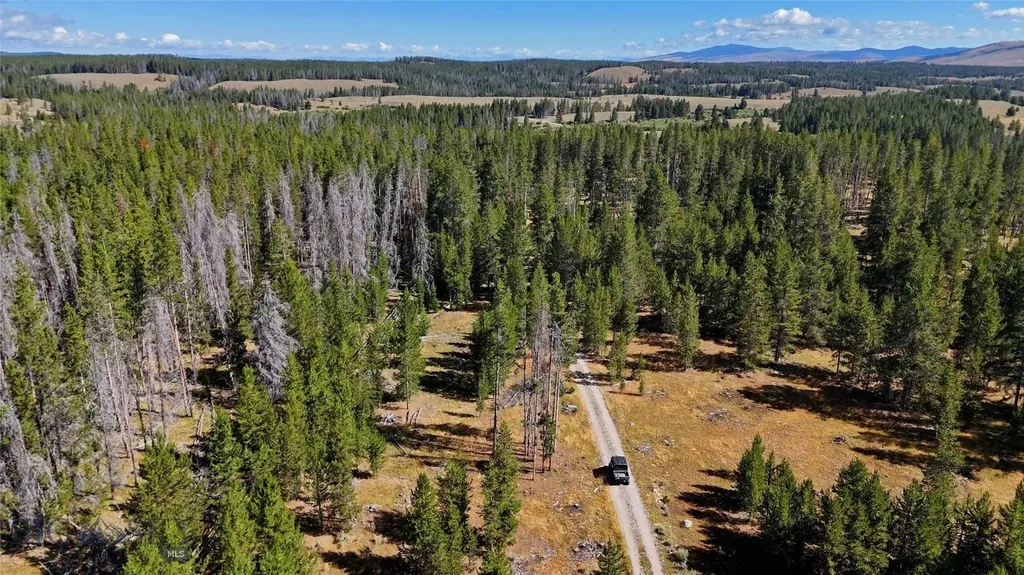 11203 Skinners Meadows Road Jackson MT 59736
