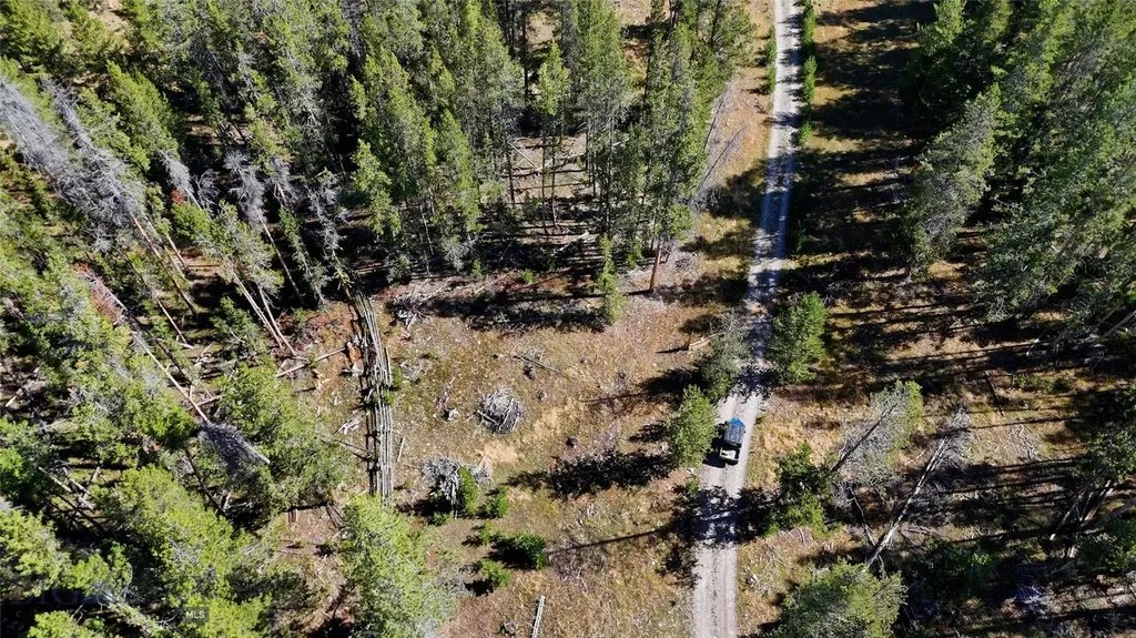 11203 Skinners Meadows Road Jackson MT 59736