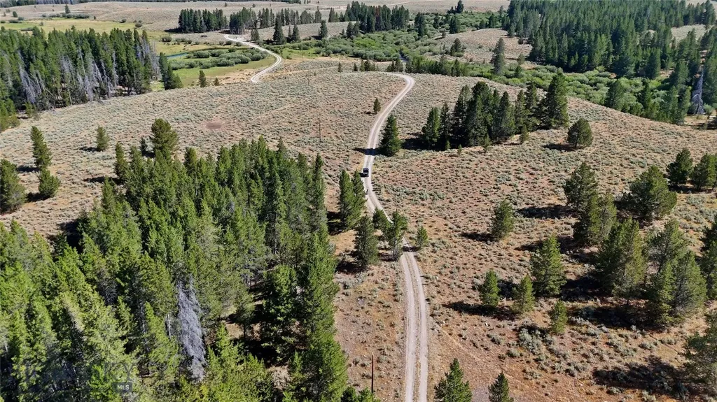 11203 Skinners Meadows Road Jackson MT 59736