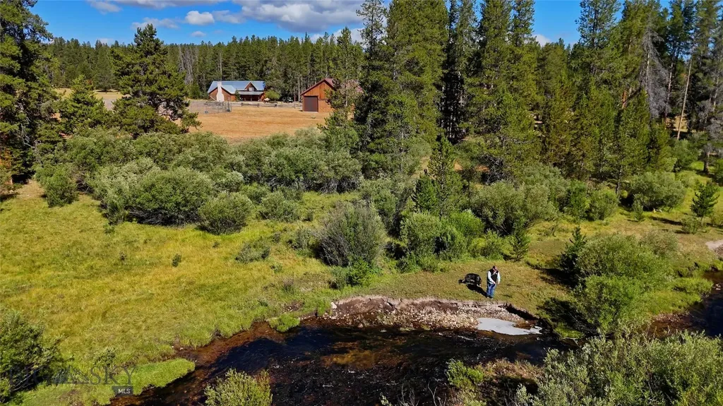 11203 Skinners Meadows Road Jackson MT 59736